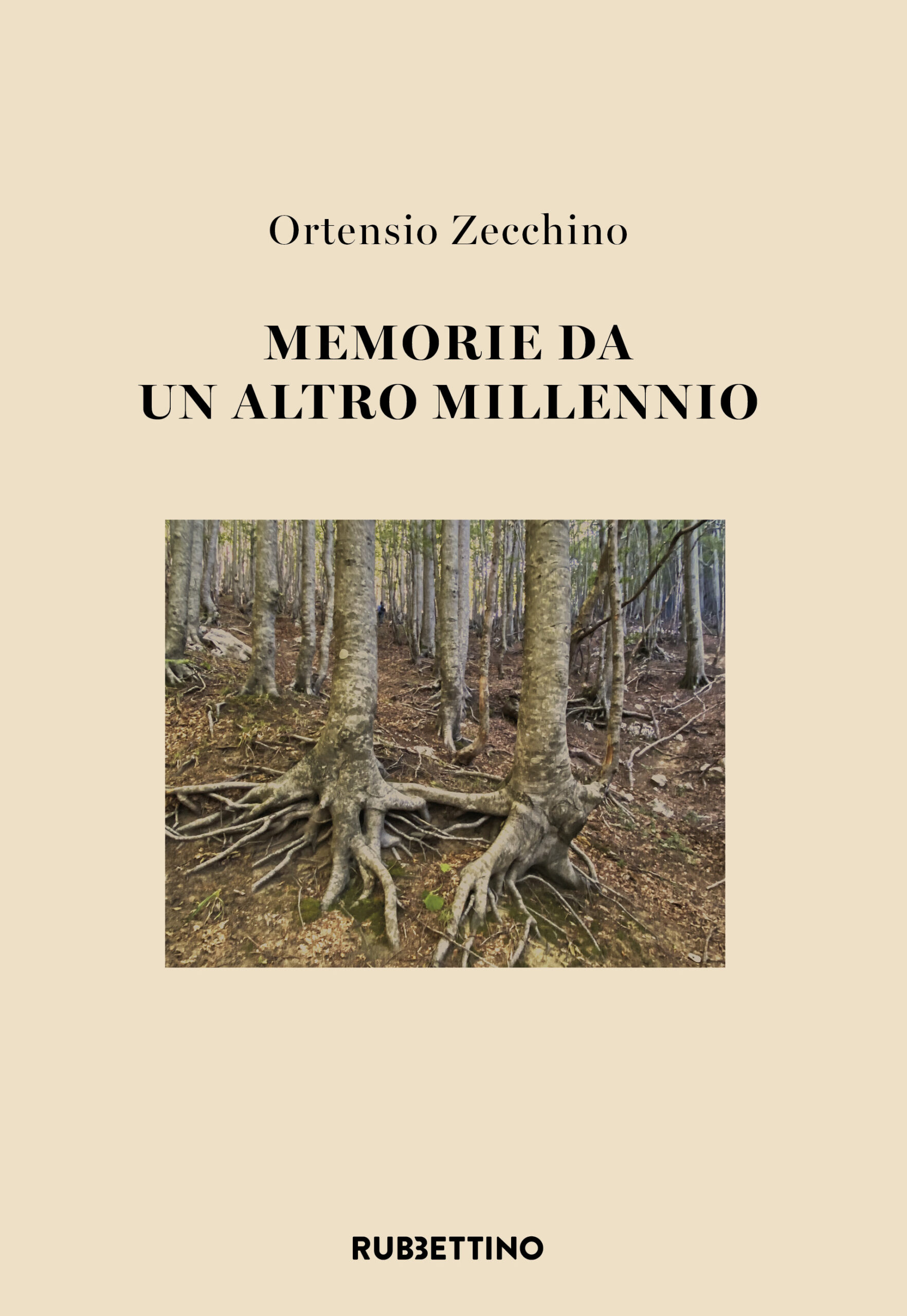 23E0776p01C_9788849879896_VAR_Zecchino_piatto