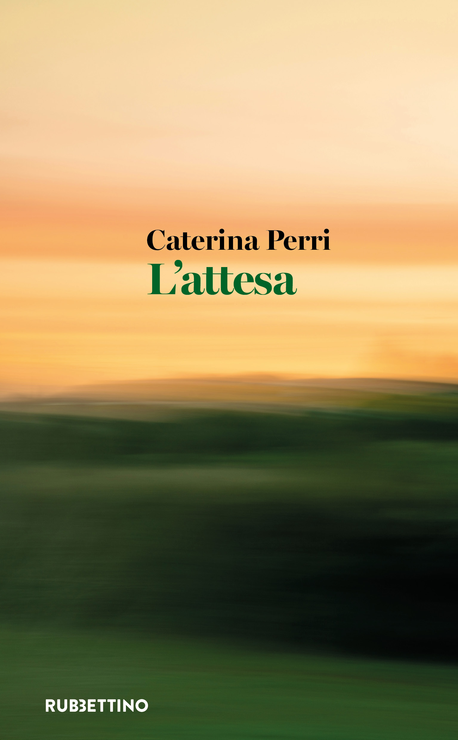 26E0084p01C_9788849890983_VAR_Perri_piatto
